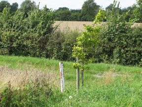 Greenwich Meridian Marker; England; Cambridgeshire; Orwell